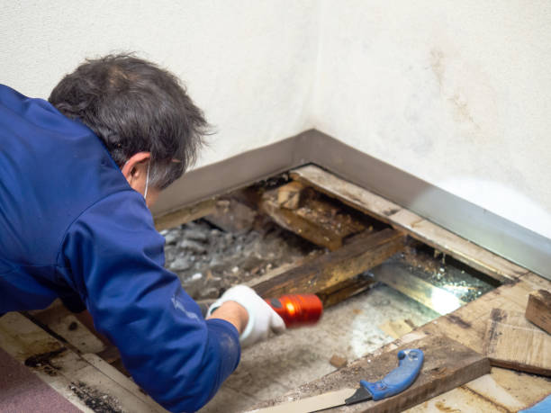 Best Post-Remediation Services in Shepherdstown, WV
